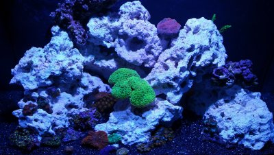 Красивый фон для аквариума