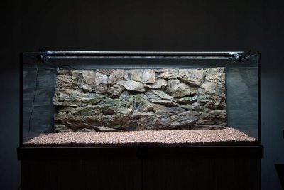 Объемный фон для аквариума