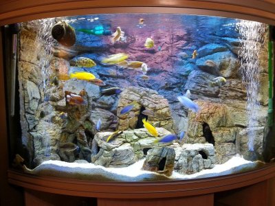 Красивые аквариумы