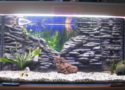 Рельефный фон для аквариума