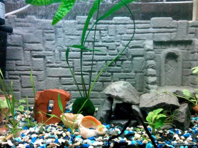 Объемный задний фон для аквариума