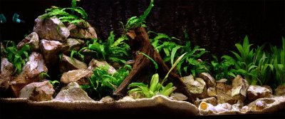 3д фон для аквариума