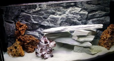 3д фон для аквариума