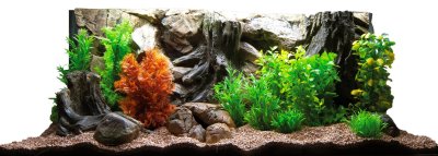 Объемный фон для аквариума