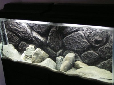 Объемный фон для террариума