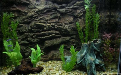 Задний фон для аквариума