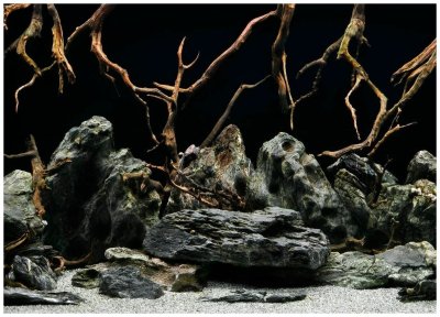 Фон двухсторонний морская Лагуна / натуральная мистика 45см*15м