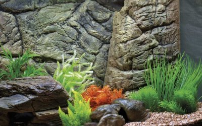 Объемный фон для аквариума