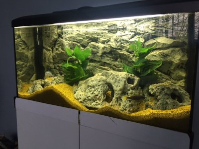 Объемный фон для аквариума