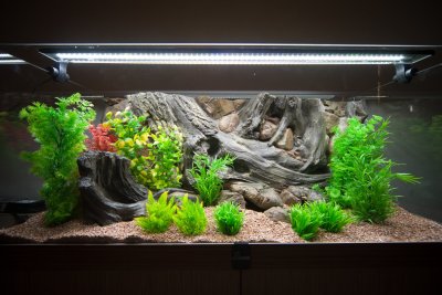 Задний фон для аквариума