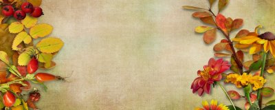 Осенний фон для коллажа