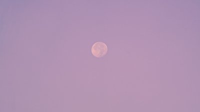 Нежно фиолетовый