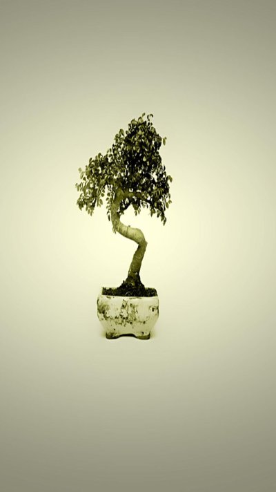 Дерево богатства