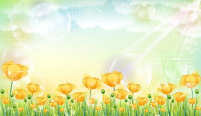 Красивый фон для презентации