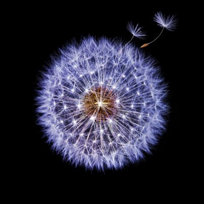 Фон самсунг галакси s9