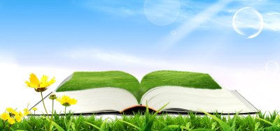 Красивый фон с книгами