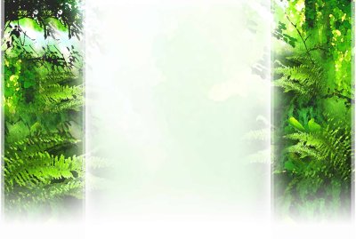 Фон для брошюры