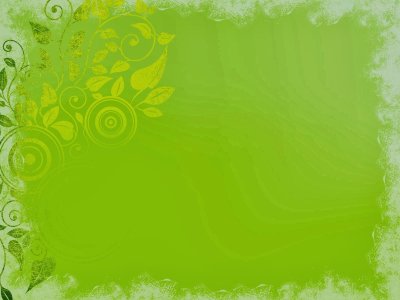 Салатовая подложка