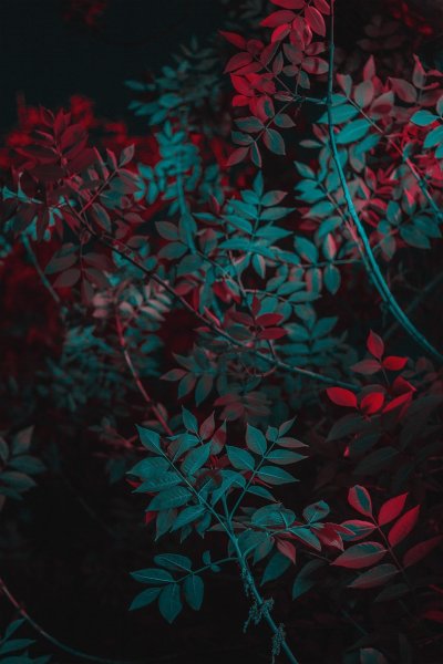 Эстетичный фон