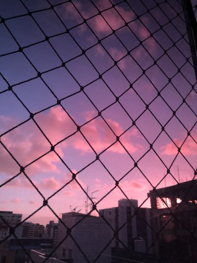 Забор сетка Эстетика