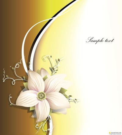 Фон для портфолио