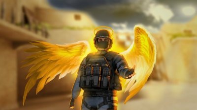 Спецназ с крыльями