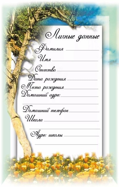 Портфолио ученика