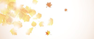 Нейтральный осенний фон