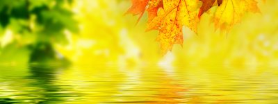 Осенний фон