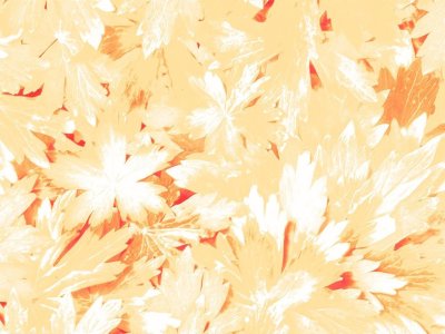 Осенний фон