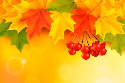 Фон для презентации осень