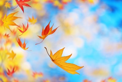 Осенние листья фон