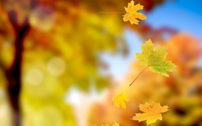 Осенние листья фон