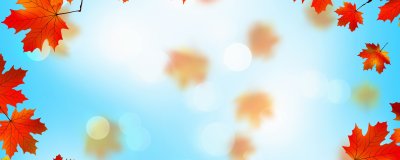 Осенние листья фон