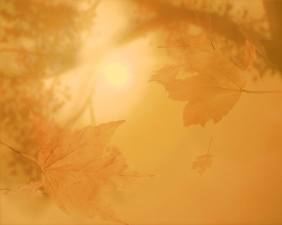 Осенний фон для портрета