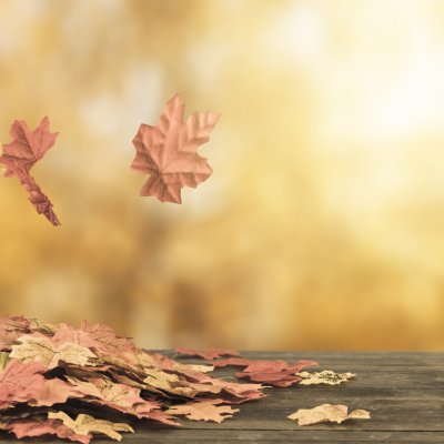 Падающие листья