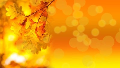 Осенний фон