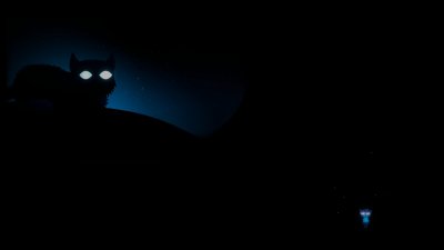 Кот, Темнота, британец, черный фон