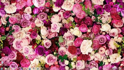 Розовые цветы