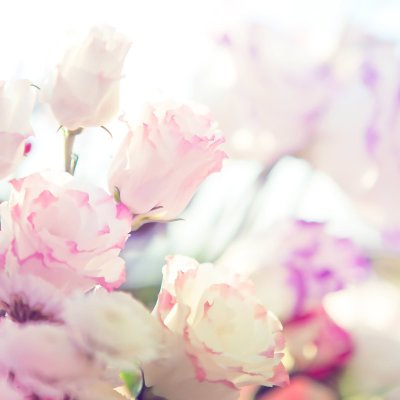 Нежный цветок