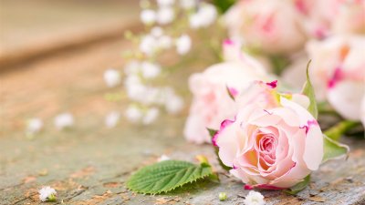 Цветочный фон