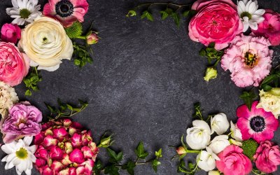 Фоновые цветы