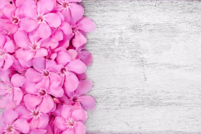 Розовый фон