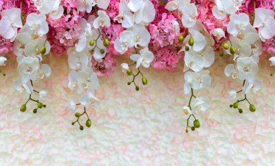 Красивый фон цветы