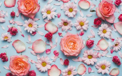 Розовые цветы фон