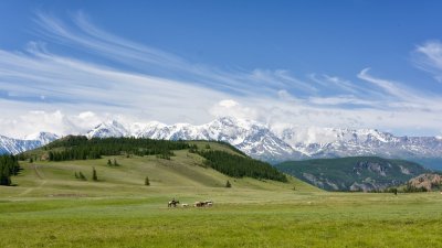 Алтай Хангай