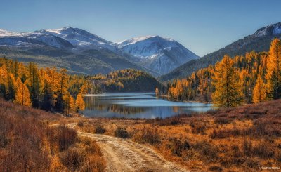 Белуха горный Алтай