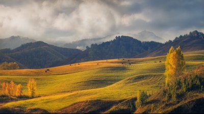 Алтайский край предгорье