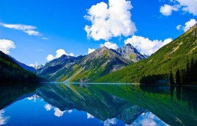 Белуха горный Алтай