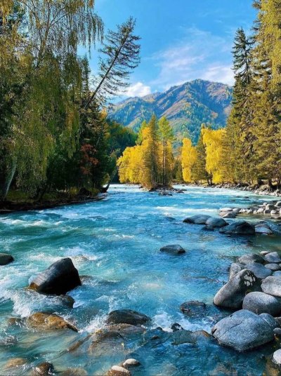 Река Кучерла горный Алтай